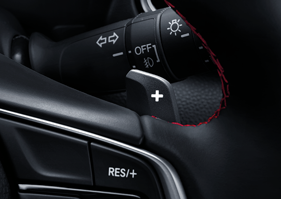 DECELERATION SELECTOR PADDLE